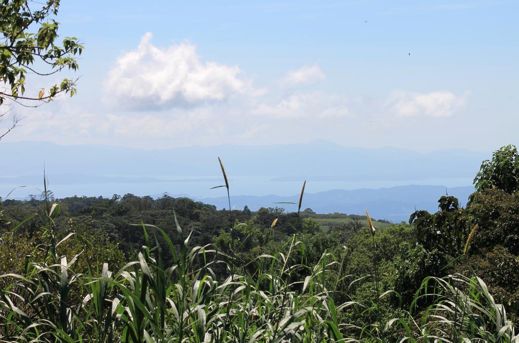 Casa Canitas Monteverde Eksteriør billede