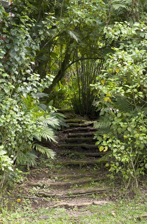 Casa Canitas Monteverde Eksteriør billede