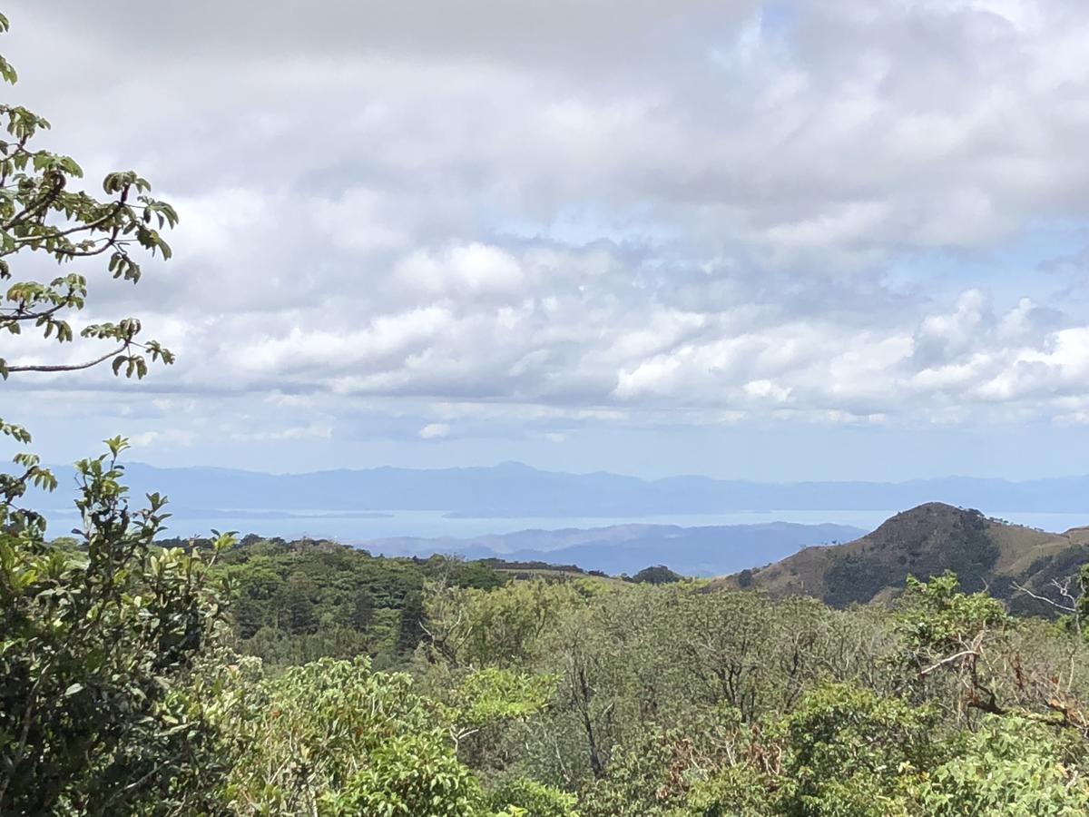 Casa Canitas Monteverde Eksteriør billede